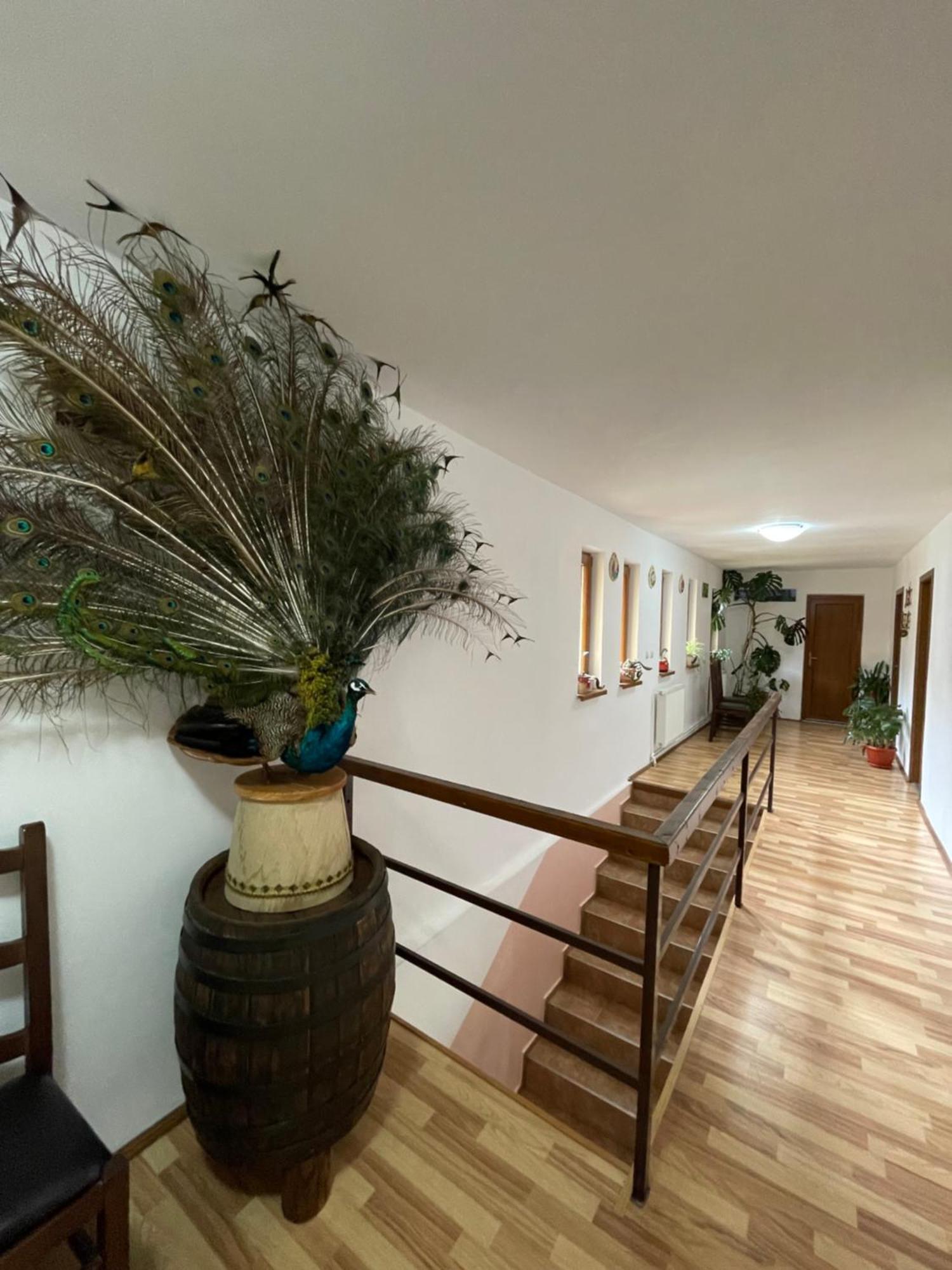 Green Mountain Resort Scrind-Frăsinet Eksteriør bilde