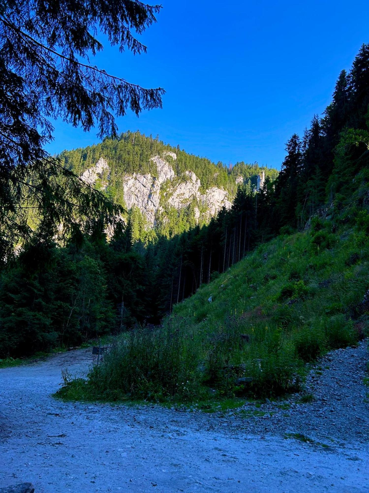 Green Mountain Resort Scrind-Frăsinet Eksteriør bilde